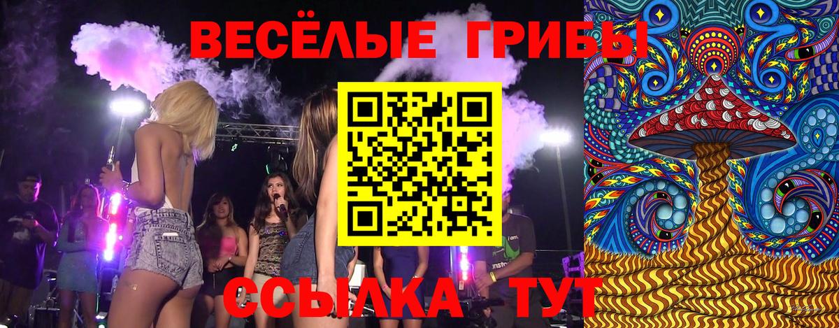 Псилоцибиновые грибы Magic Shrooms  Галлюциногенные грибы GOLDEN TEACHER  Вход с VPN  Гусиноозёрск 