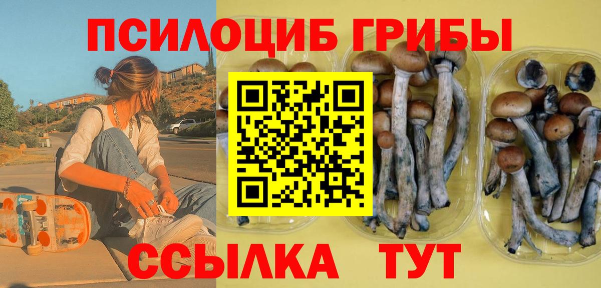 Галлюциногенные грибы мухоморы Гусиноозёрск